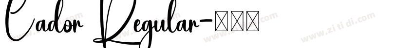 Cador Regular字体转换